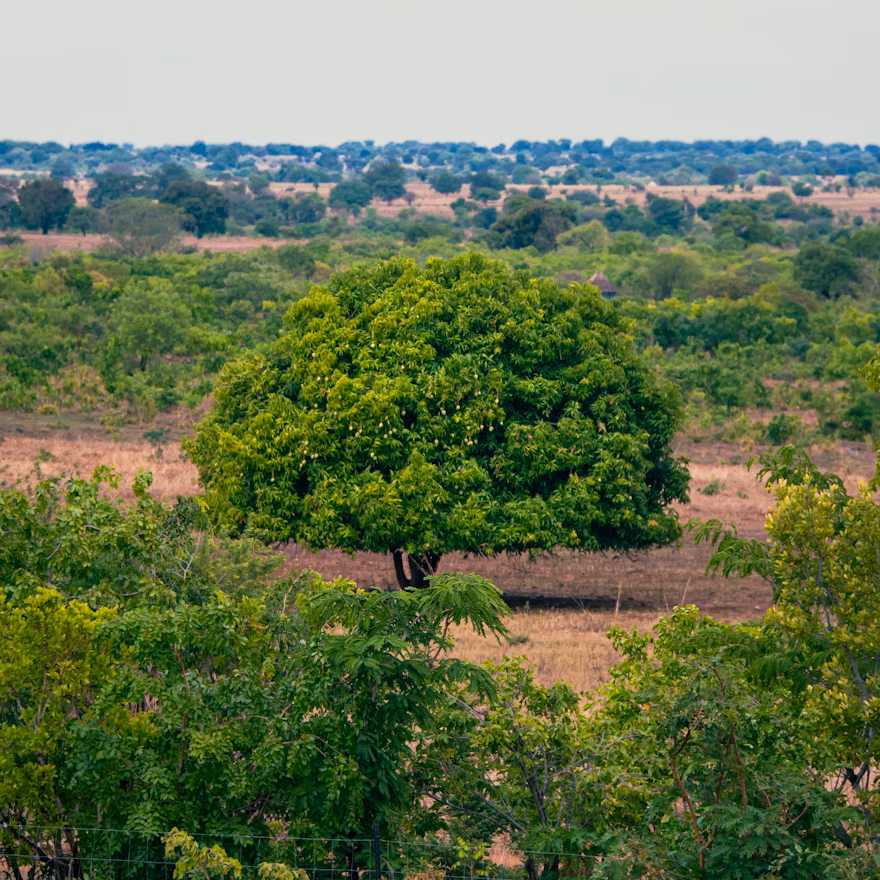 African landscape with climate solutions